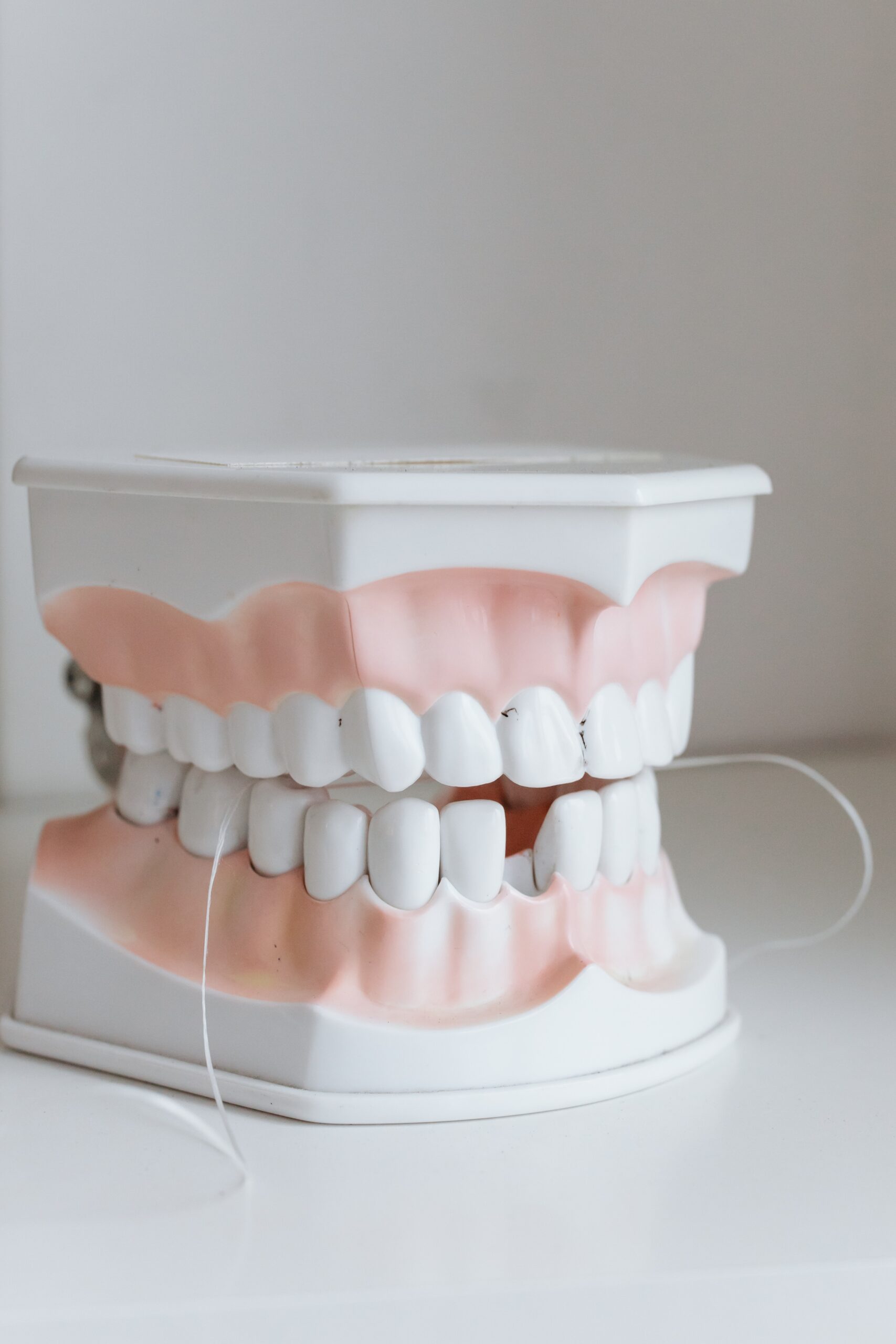 a model of teeth with dental floss