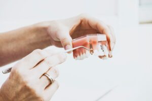 a person holding a model of teeth